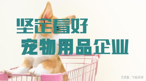 告別紅海競爭，聚焦寵物用品與服務(wù) 三個硬核邏輯揭示企業(yè)轉(zhuǎn)型新路徑